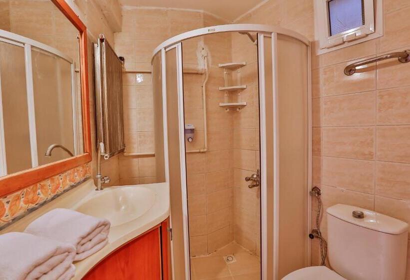 اتاق استاندارد چهارنفره با چشم‌انداز باغ, Club Hotel Gultur
