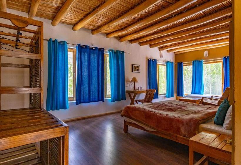Номер Стандарт, Nubra Ecolodge