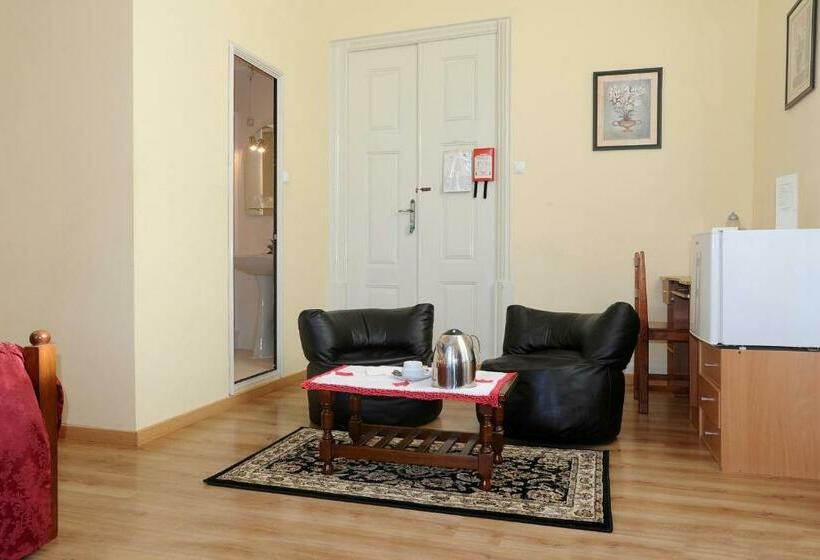 Номер Стандарт, Central Guest House