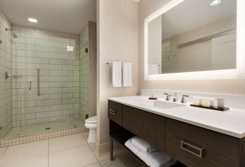 디럭스 스위트 킹 침대, Embassy Suites By Hilton Berkeley Heights