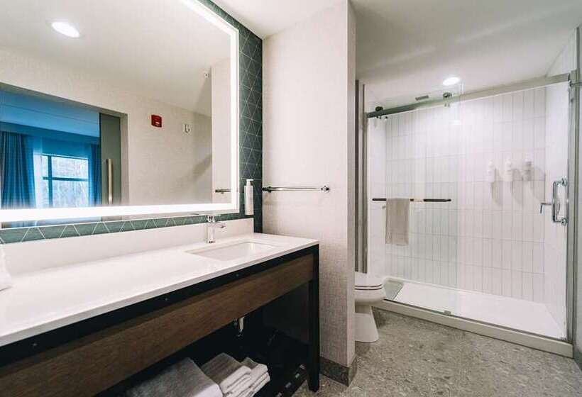 디럭스 스위트, Embassy Suites By Hilton Berkeley Heights