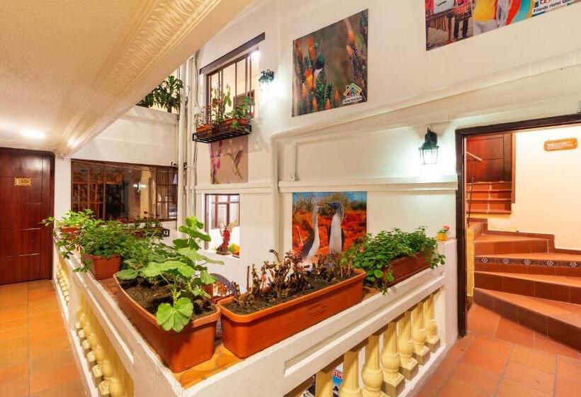 Апартаменты 1 Спальня, Friends Hotel & Rooftop   Historic Center & Museums
