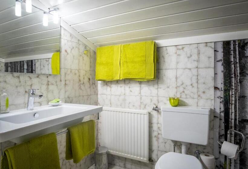 Habitación Estándar, Pension Schattberg