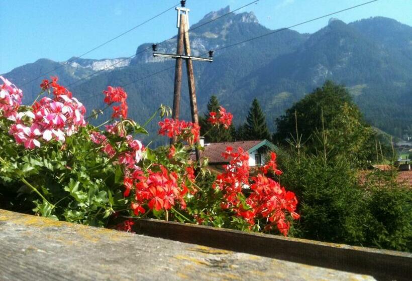 Номер Стандарт Индивидуальный, Pension Lärchenhof