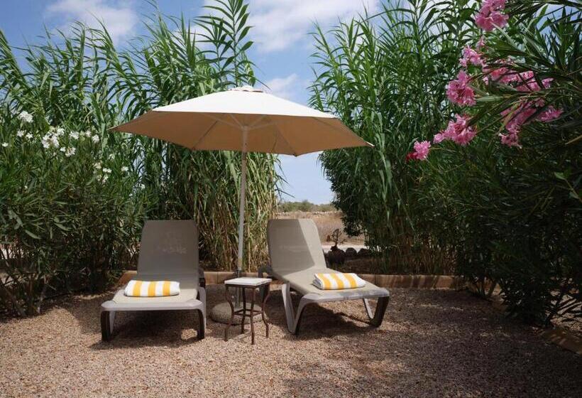 اتاق لوکس, Agroturismo S Hort De Can Carrio Ag226