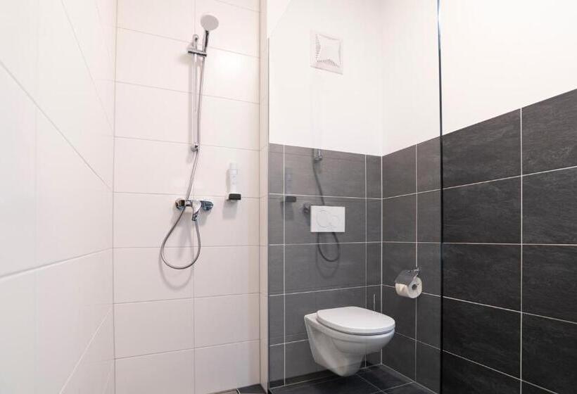 شقة سوبريور غرفة واحدة, Alpenhotel & Aparthotel Lanz