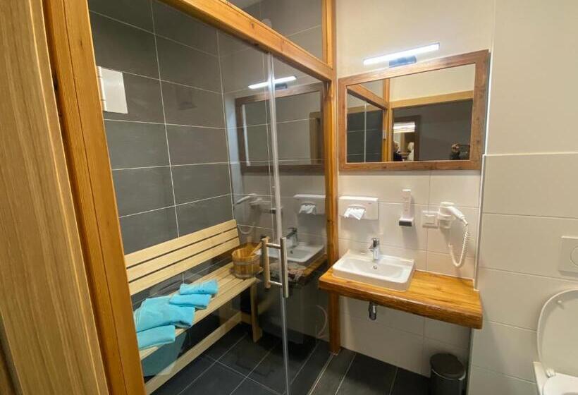 شقة سوبريور غرفة واحدة, Alpenhotel & Aparthotel Lanz