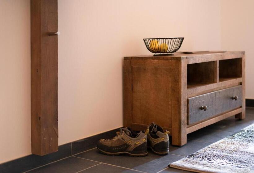 شقة سوبريور غرفة واحدة, Alpenhotel & Aparthotel Lanz