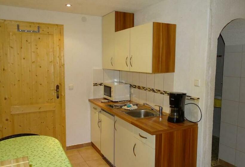 Апартаменты 1 Спальня, Alpinresort Derbacherhof