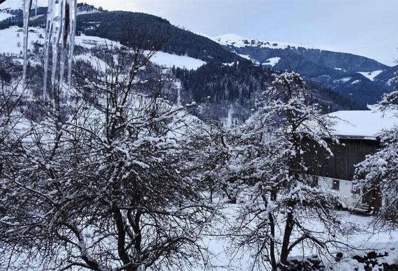 Апартаменты 1 Спальня, Alpinresort Derbacherhof