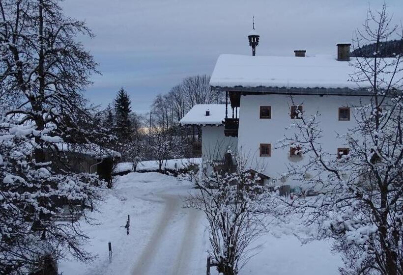 Шале 1 Спальня, Alpinresort Derbacherhof