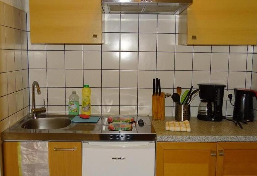 Апартаменты 1 Спальня, Alpinresort Derbacherhof