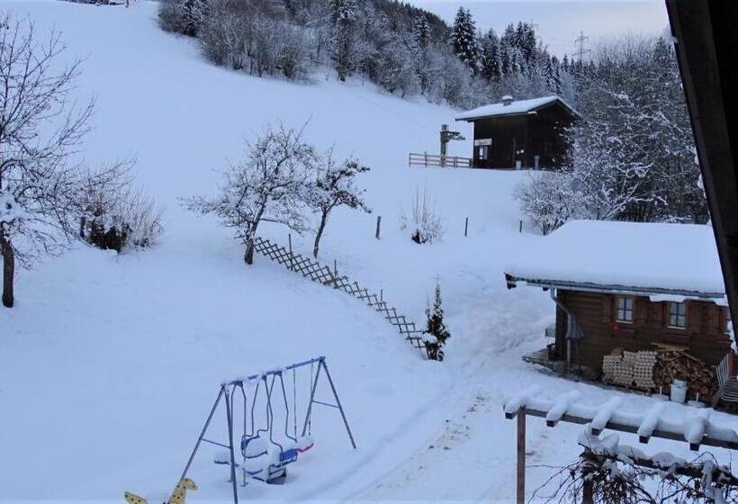 Люкс Семейный 2 Спальни, Alpinresort Derbacherhof