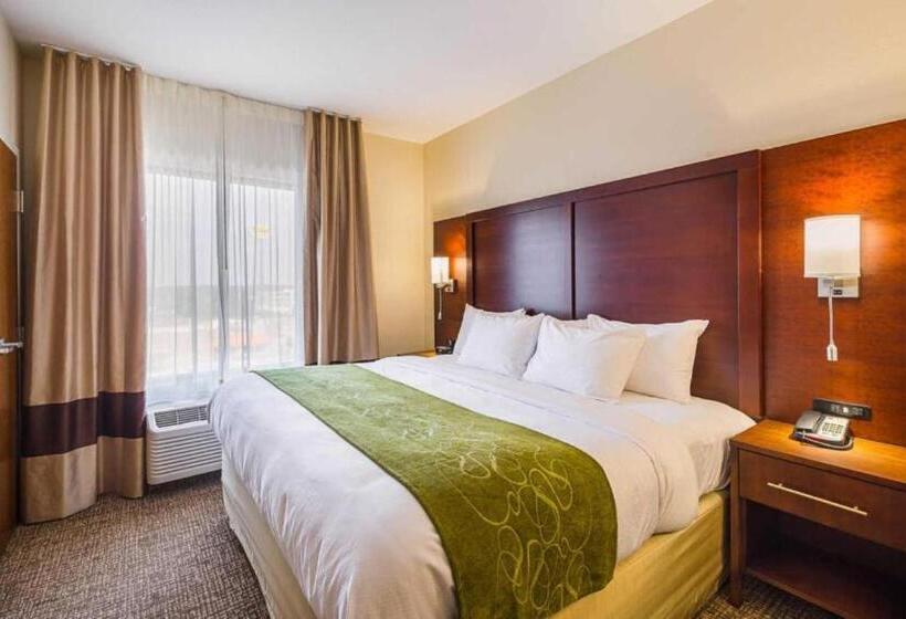 جناح سرير كينج, Comfort Suites Greenville South