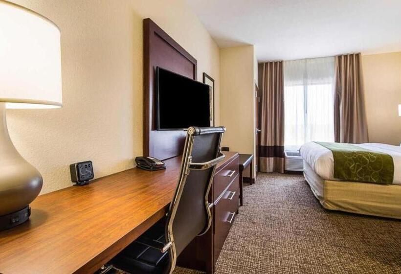 جناح سرير كينج, Comfort Suites Greenville South