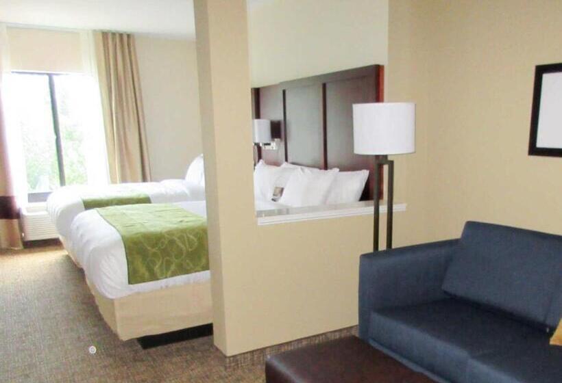 身障者適用スイートルーム, Comfort Suites Greenville South