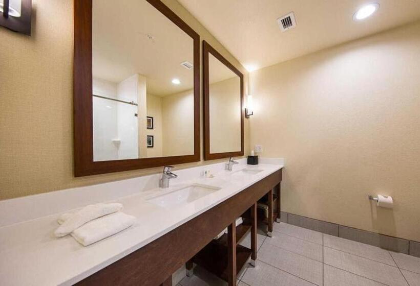 جناح لذوى الاحتياجات الخاصة, Comfort Suites Greenville South