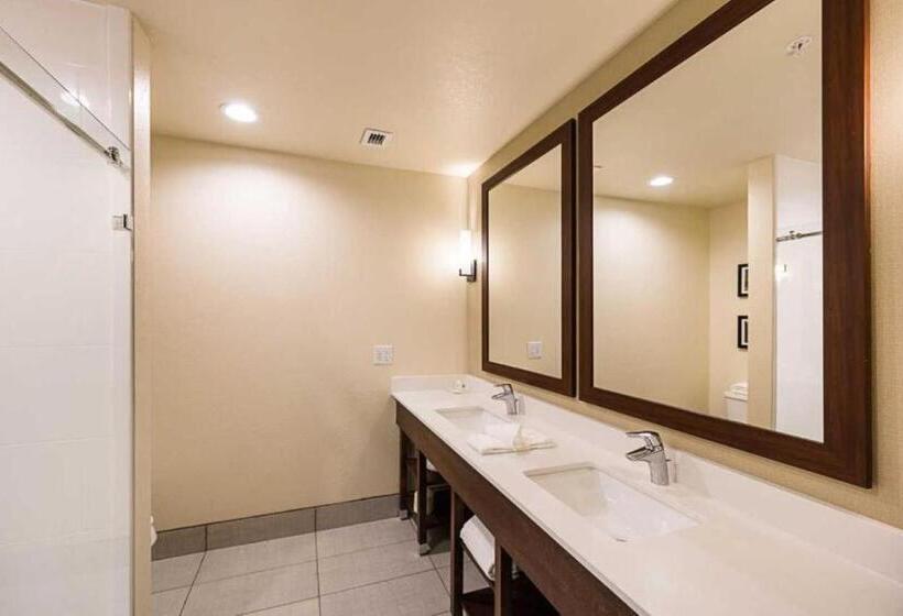身障者適用スイートルーム, Comfort Suites Greenville South
