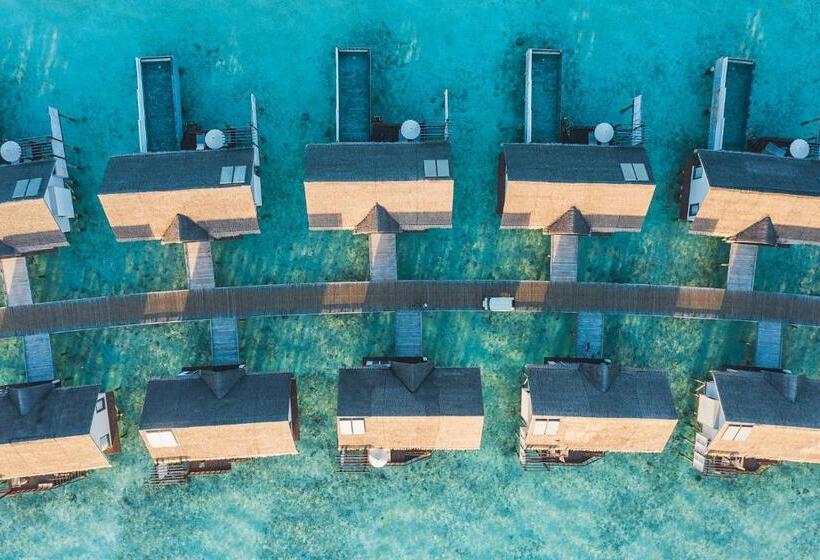 ویلای یک اتاق خوابه با استخر شنا, Ozen Life Maadhoo  Luxury All Inclusive
