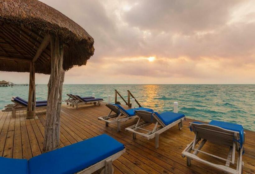 수피리어 스위트, Weezie S Ocean Front Hotel And Garden Cottages