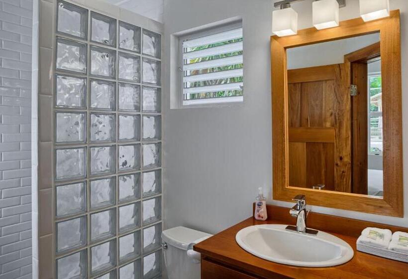 스탠다드 스튜디오, Weezie S Ocean Front Hotel And Garden Cottages