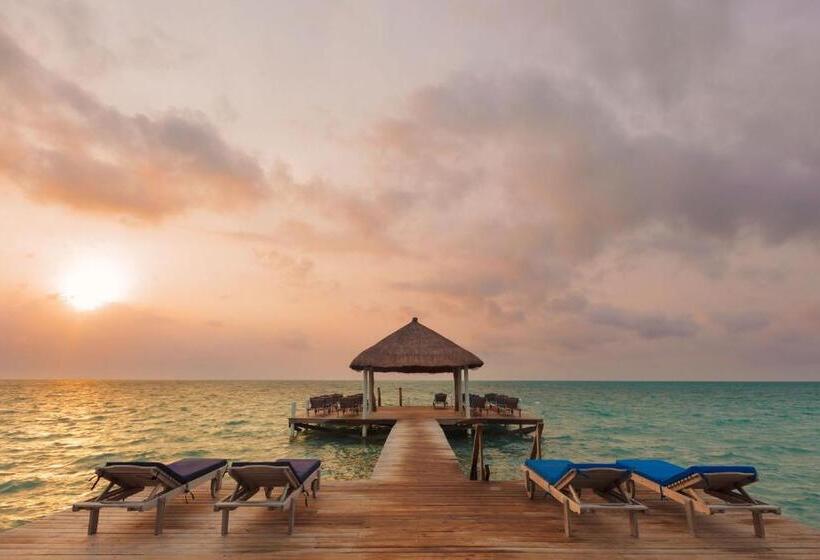스위트 킹사이즈 침대, Weezie S Ocean Front Hotel And Garden Cottages