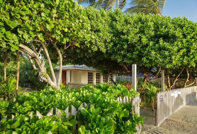 스위트 킹사이즈 침대, Weezie S Ocean Front Hotel And Garden Cottages