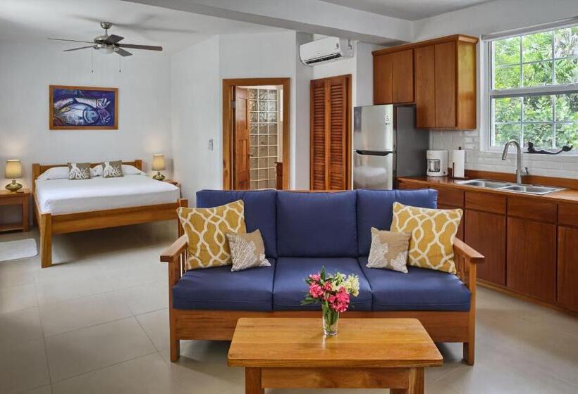 스탠다드 스튜디오, Weezie S Ocean Front Hotel And Garden Cottages