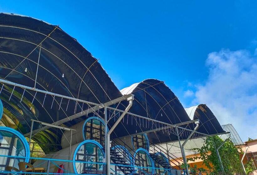 اتاق سوپریور, Cameron Highlands Blueberry Earth House