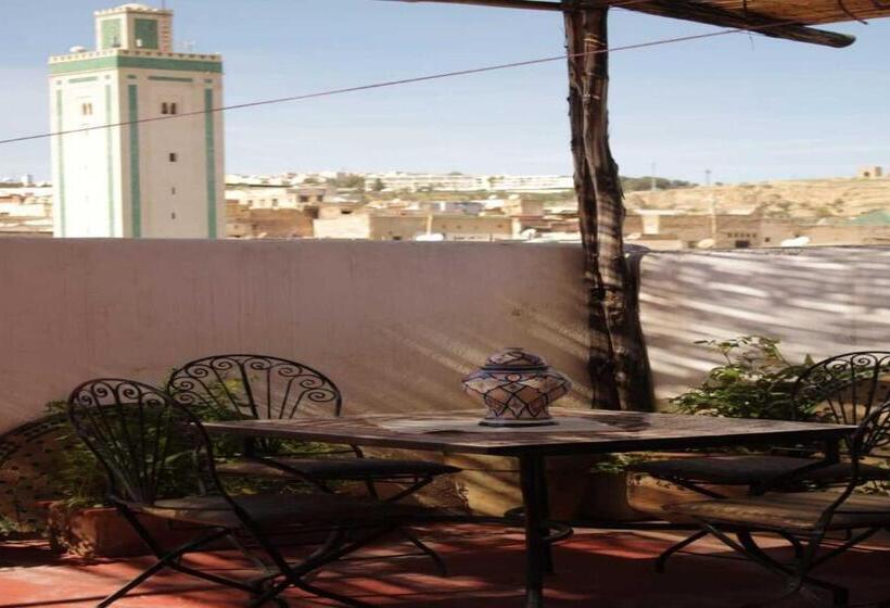 اتاق لوکس, Hostel Rcif