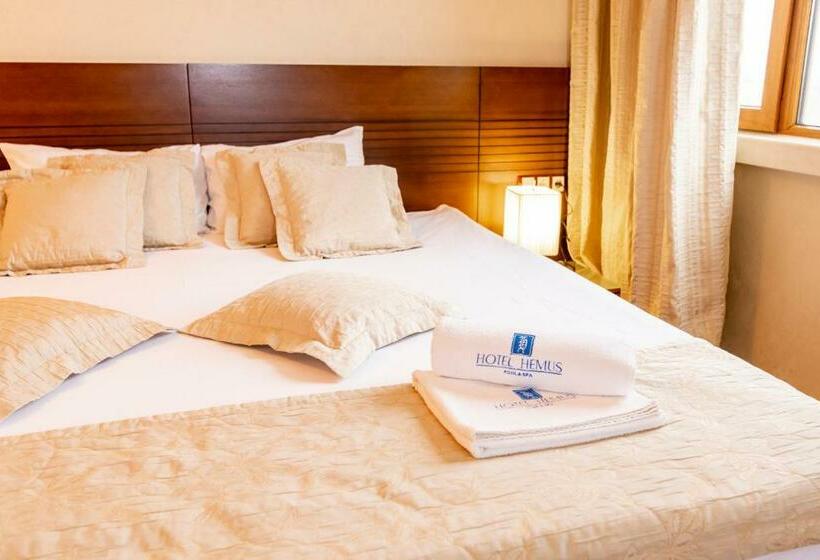 스탠다드 룸, Hemus Hotel   Vratza