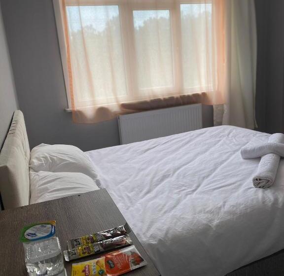 اتاق لوکس, Airportforestroom