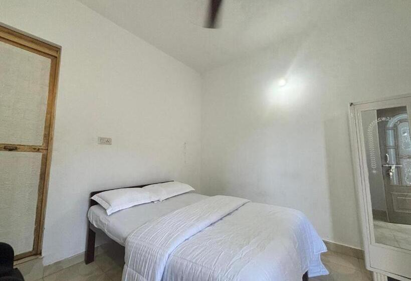 Standard Room, Euphoria Stays In Anjuna