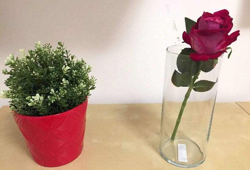 Appartement Deluxe 1 Chambre, La Suite Rooms & Apartments