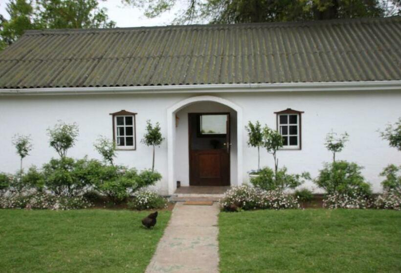 Люкс Повышенной Комфортности, Caladdi Bed And Breakfast