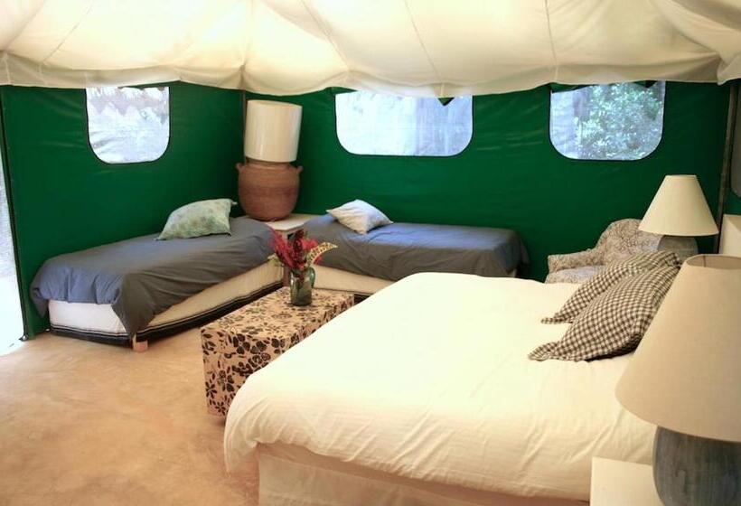 چادر با خدمات رفاهی فوق ممتاز, Junto Al Rio Bungalows & Suites