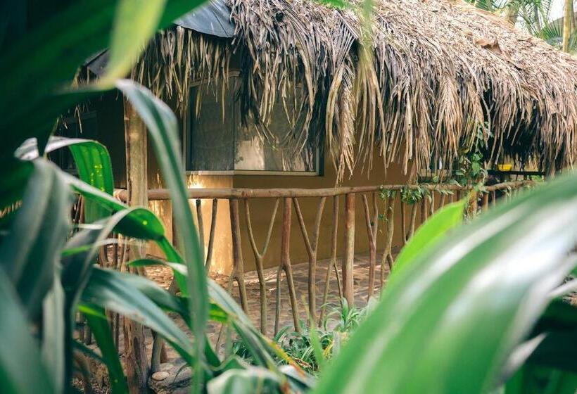 استودیوی سوپریور, Junto Al Rio Bungalows & Suites