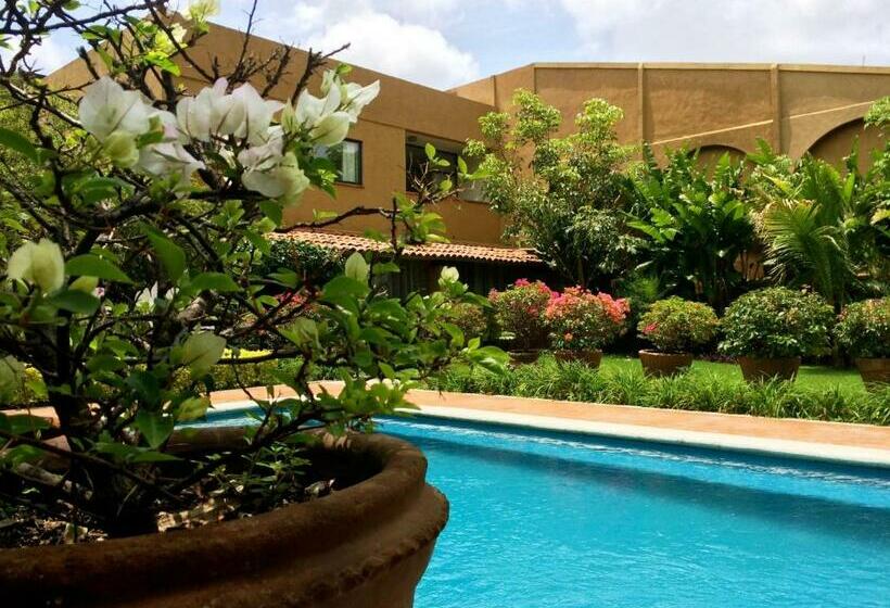 חדר סטנדרט, Orchidelirium Casa Hotel & Salud Estética