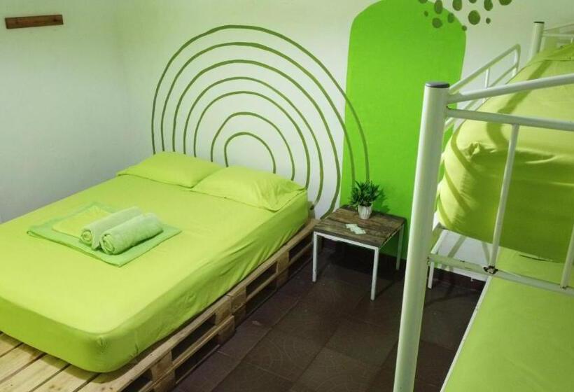 Четырехместный Номер Стандарт, Acuarela Hostal