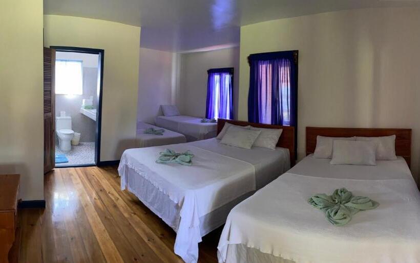 Четырехместный Номер Стандарт, Coral View Beach Resort