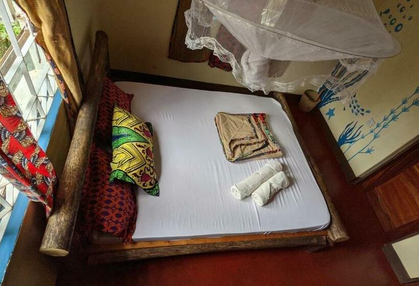اتاق لوکس, Backyard Hostel