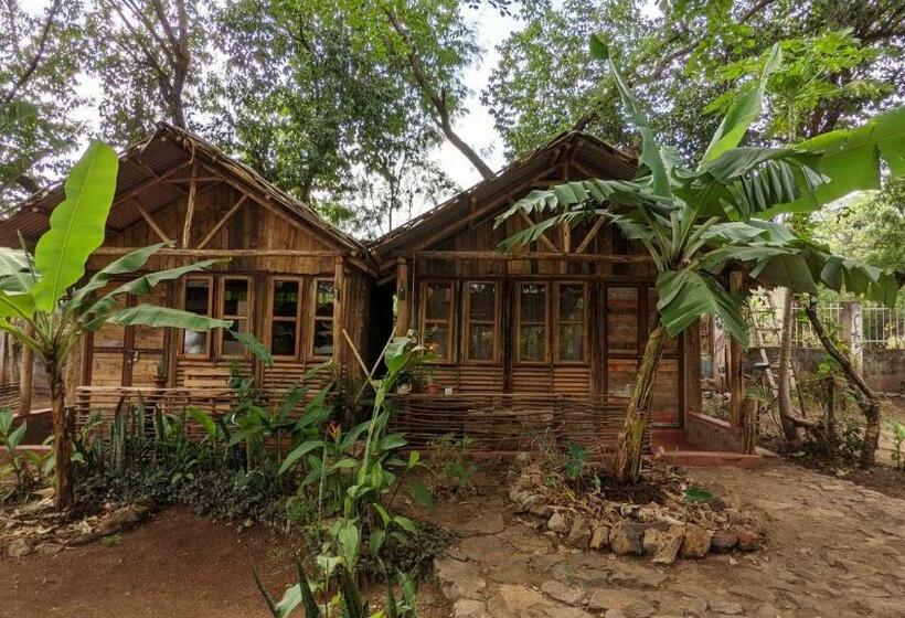 ویلای استاندارد با چشم‌انداز باغ, Backyard Hostel