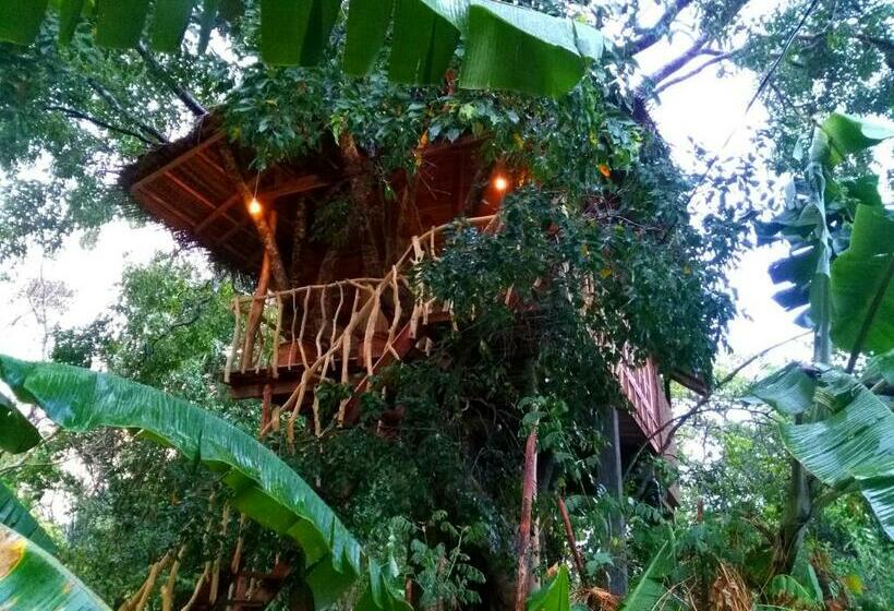 Дом 1 Спальня, Habarana Tree House Ambasewana Resort