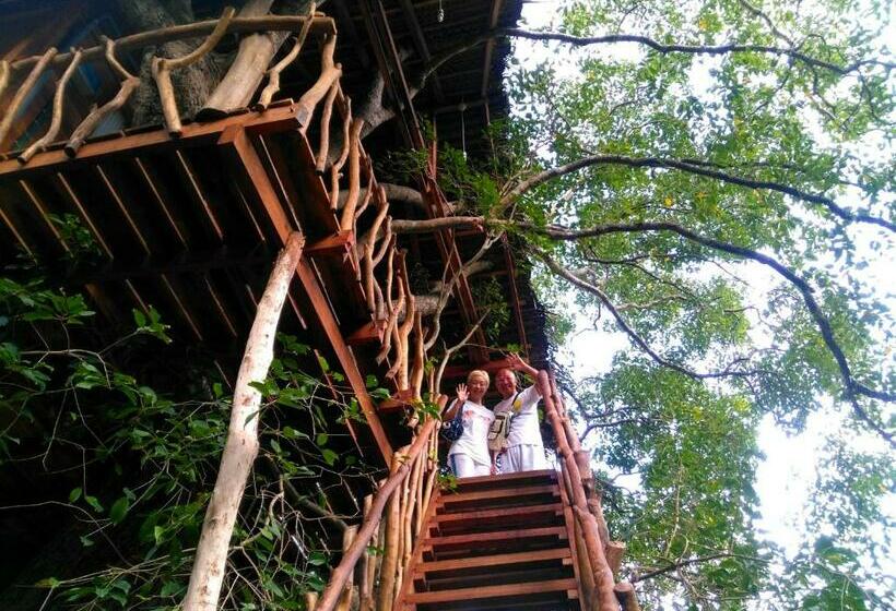 Дом 1 Спальня, Habarana Tree House Ambasewana Resort