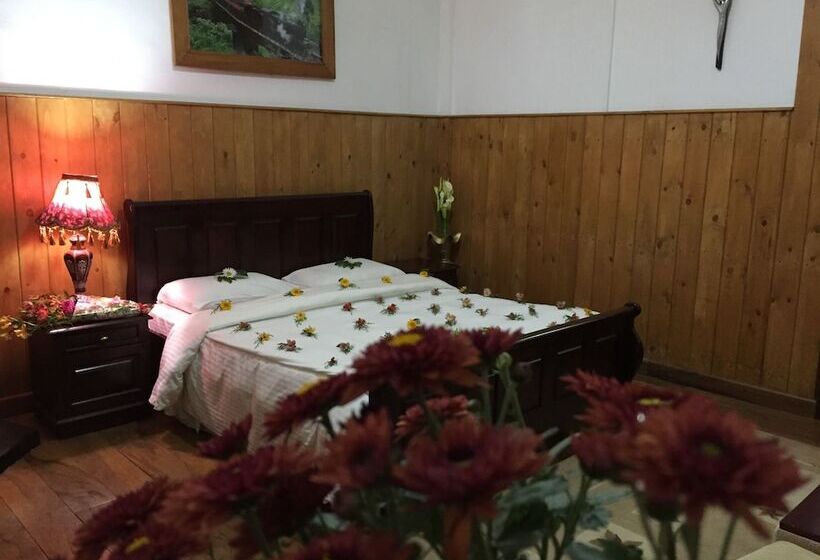 Номер Стандарт, The Trevene