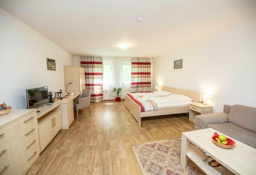 Номер Стандарт, Resort Johanka