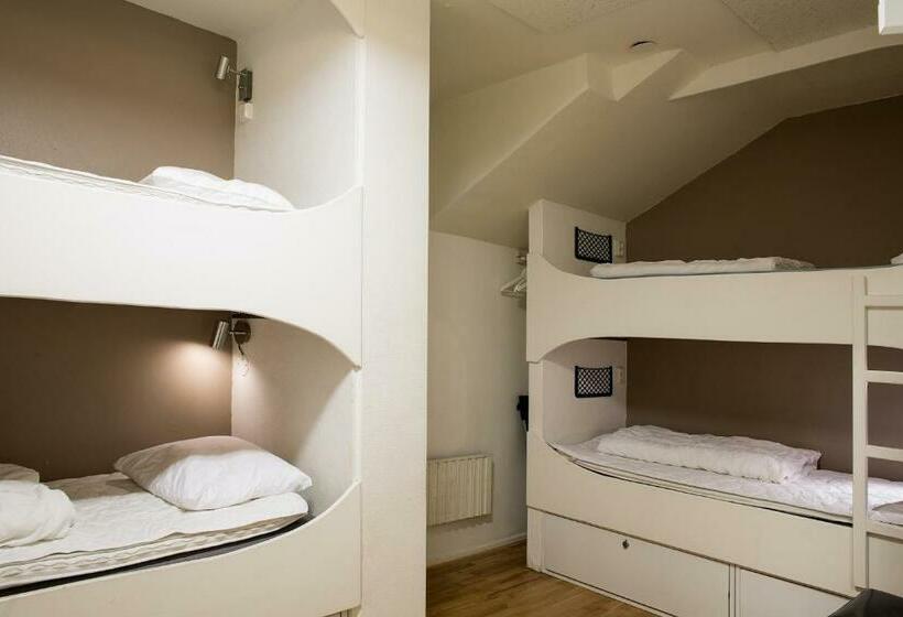 اتاق استاندارد چهارنفره با سرویس بهداشتی مشترک, Backpackers Göteborg