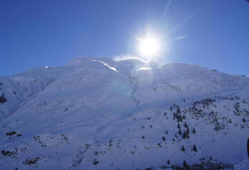 标准单人间, Soliva