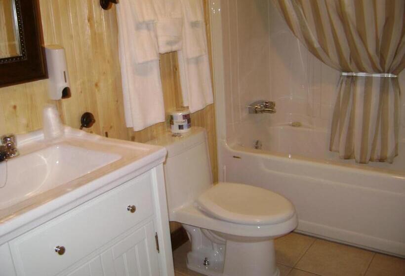 غرفه قياسيه سريرين مزدوجين, Hôtel Sous La Croix 152725