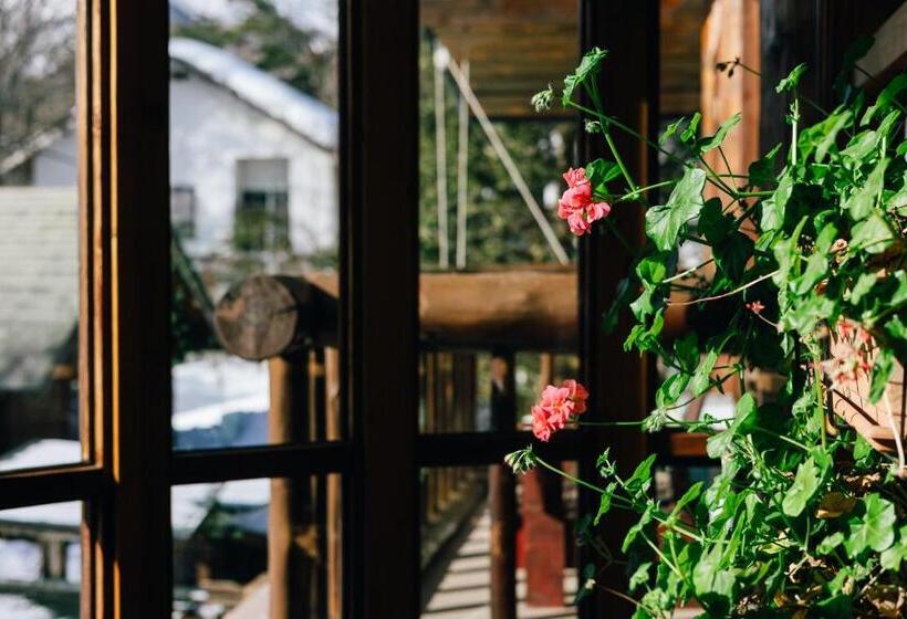 Номер Deluxe, Hakuba Pension & Log Hotel Meteor